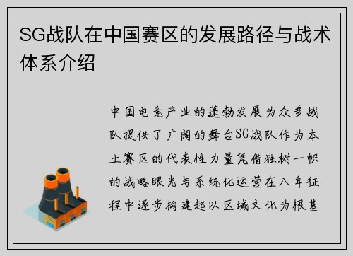 SG战队在中国赛区的发展路径与战术体系介绍